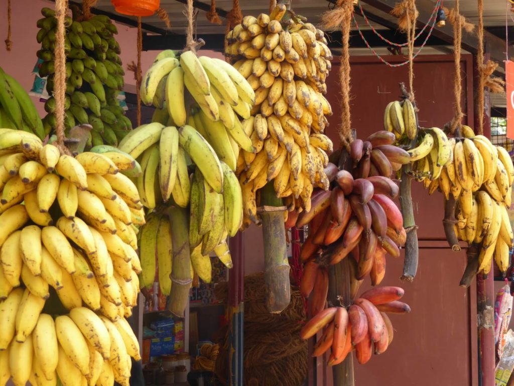 Banana: the world’s most popular fruit?