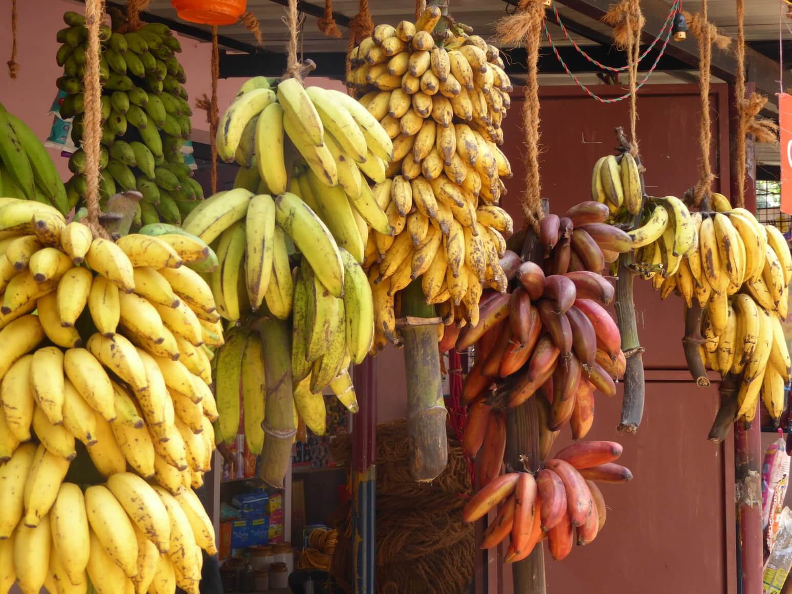 Importance Of The Banana Fruit For The Humanity