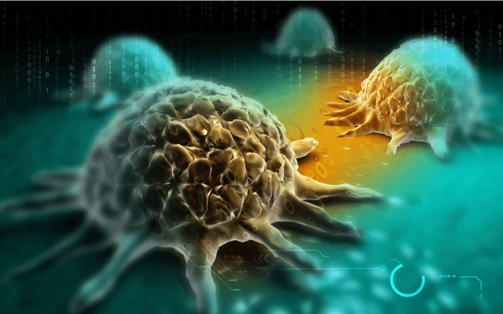 Cancer: when cells go rogue